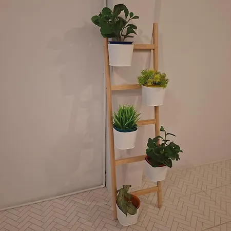 Churai\'S House
